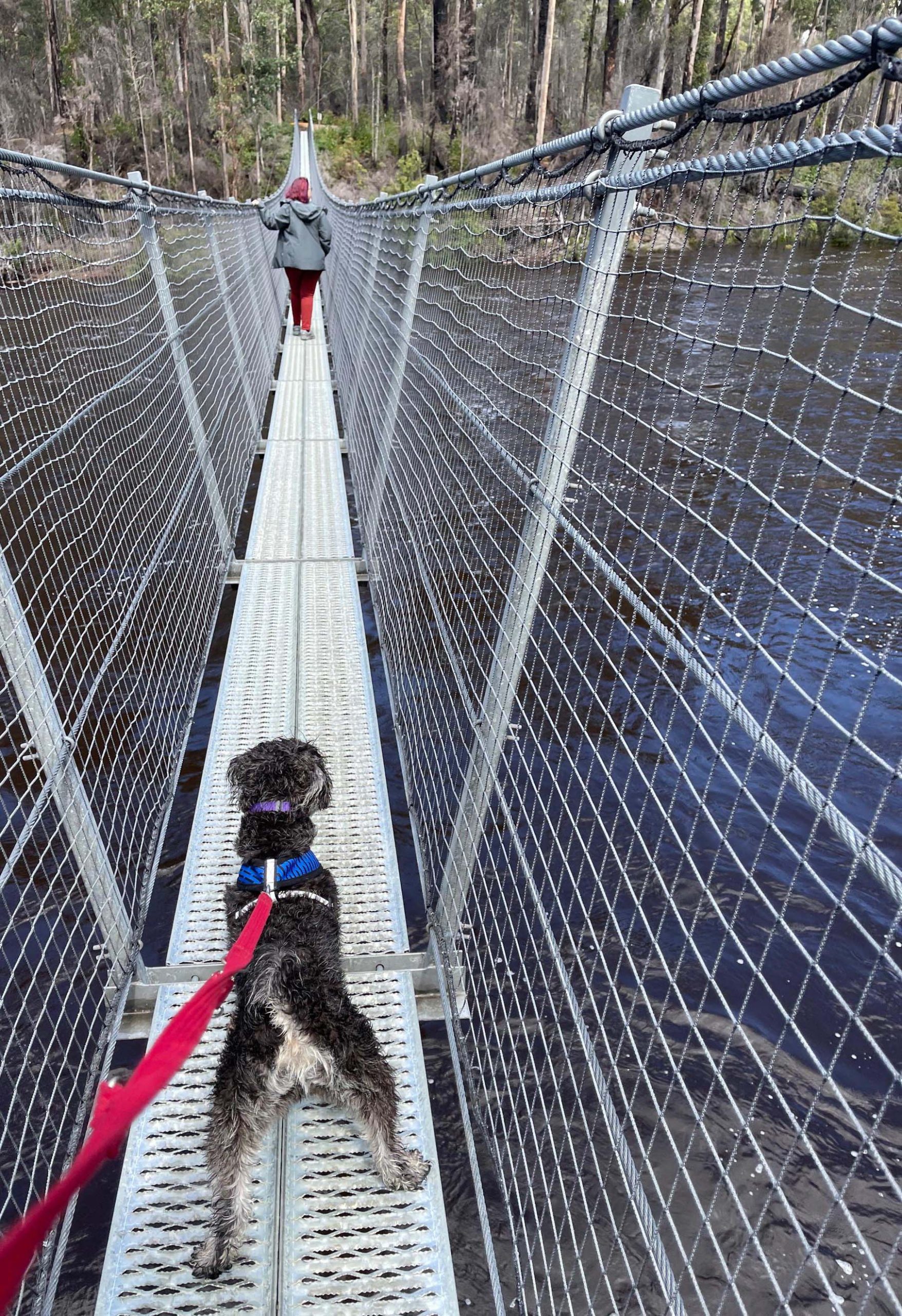 travelling with a dog means making friends is that little bit easier