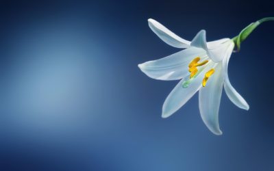 Supporting Someone Through Grief: What Not to Say (and What to Do Instead)