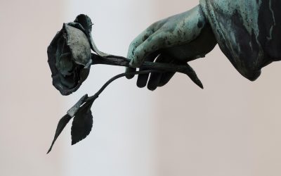 When Your World Breaks Open: Finding Your Way in the First Year After Loss